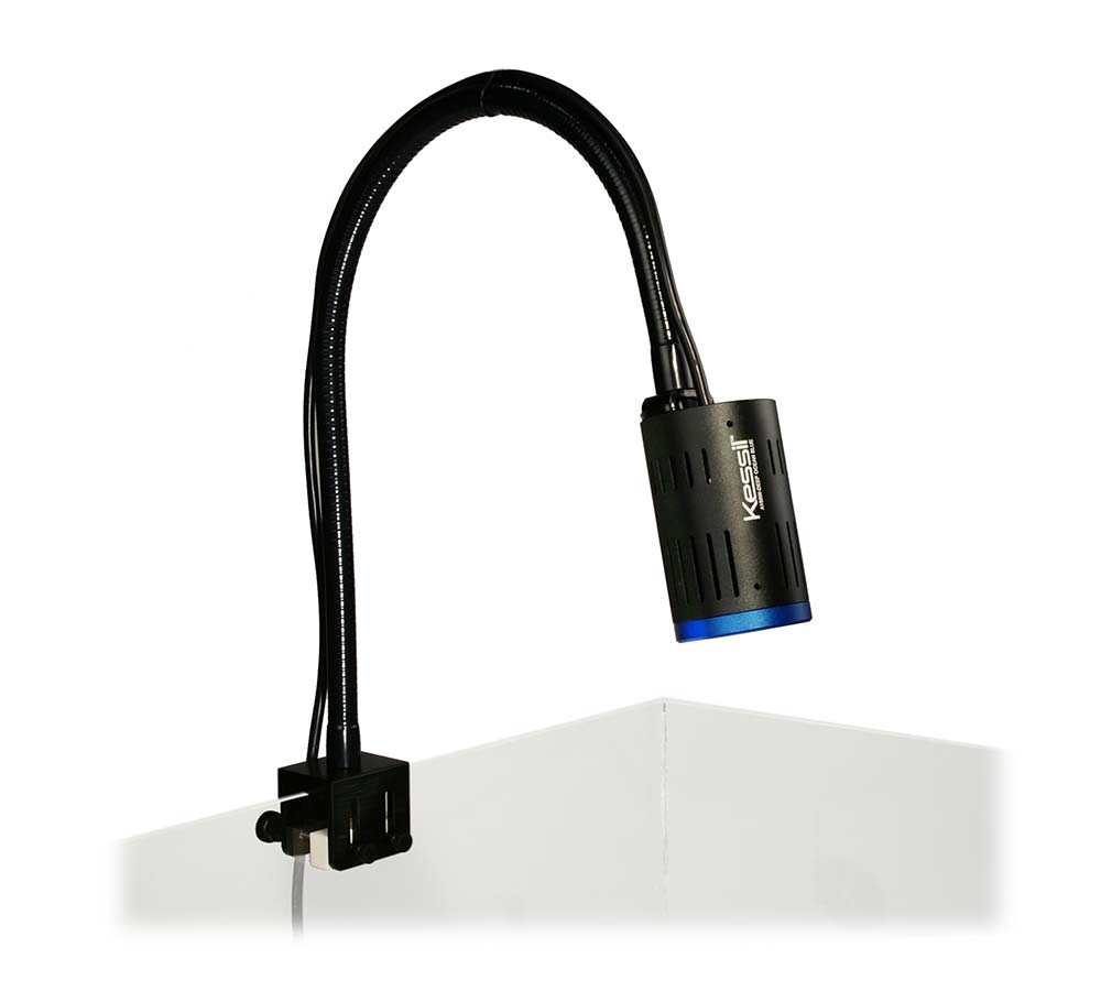 Kessil A-Series Gooseneck Mounting Arm