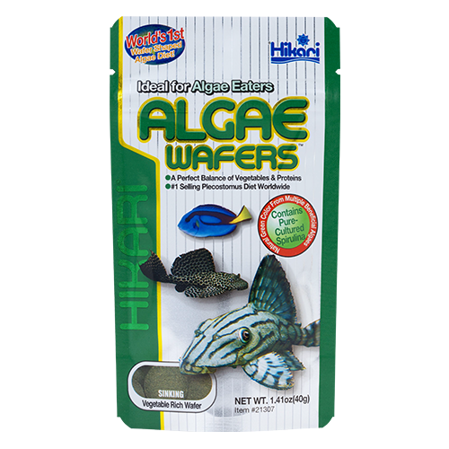 Hikari Algae Wafers (40g)
