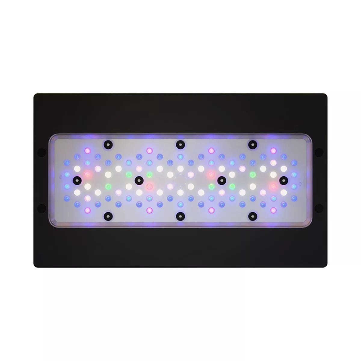 Ecotech XR30 G6 Pro LED Light Fixture