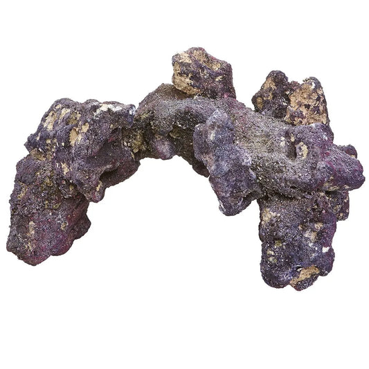 Carib Sea LifeRock Arch