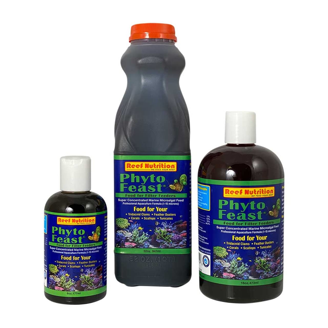 LIVE Phyto Feast Concentrate - 6 oz Bottle