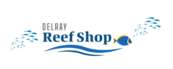 Delray Reef Shop