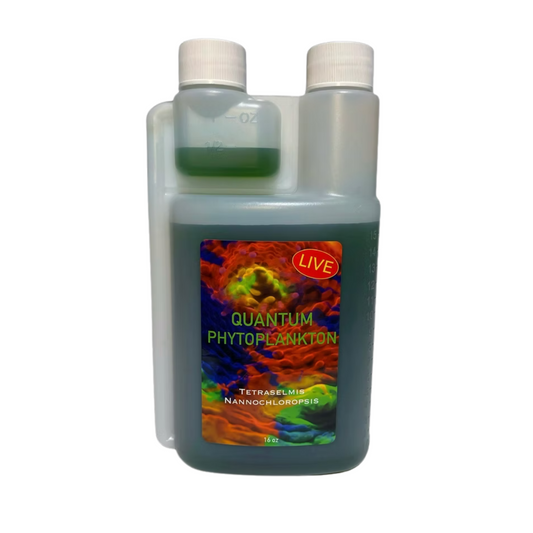 Quantum Corals Phytoplankton LIVE 16oz