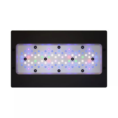 Ecotech XR30 G6 Pro LED Light Fixture
