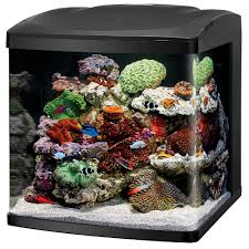 Coralife LED Biocube Aquarium Fish Tank Kit (32g)