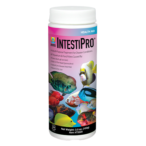 IntestiPro®