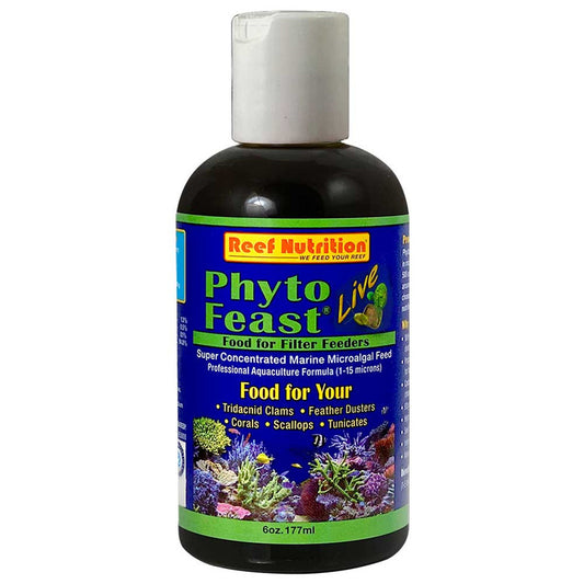 LIVE Phyto Feast Concentrate - 6 oz Bottle